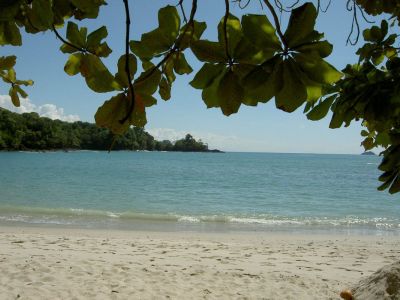 Manuel Antonio NP21